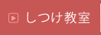 しつけ教室