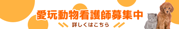 愛玩動物看護士募集