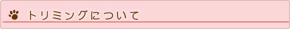 トリミングについて
